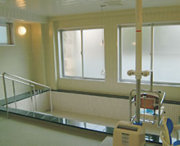 �h���N�}�T�[�㐙�@�嗁��