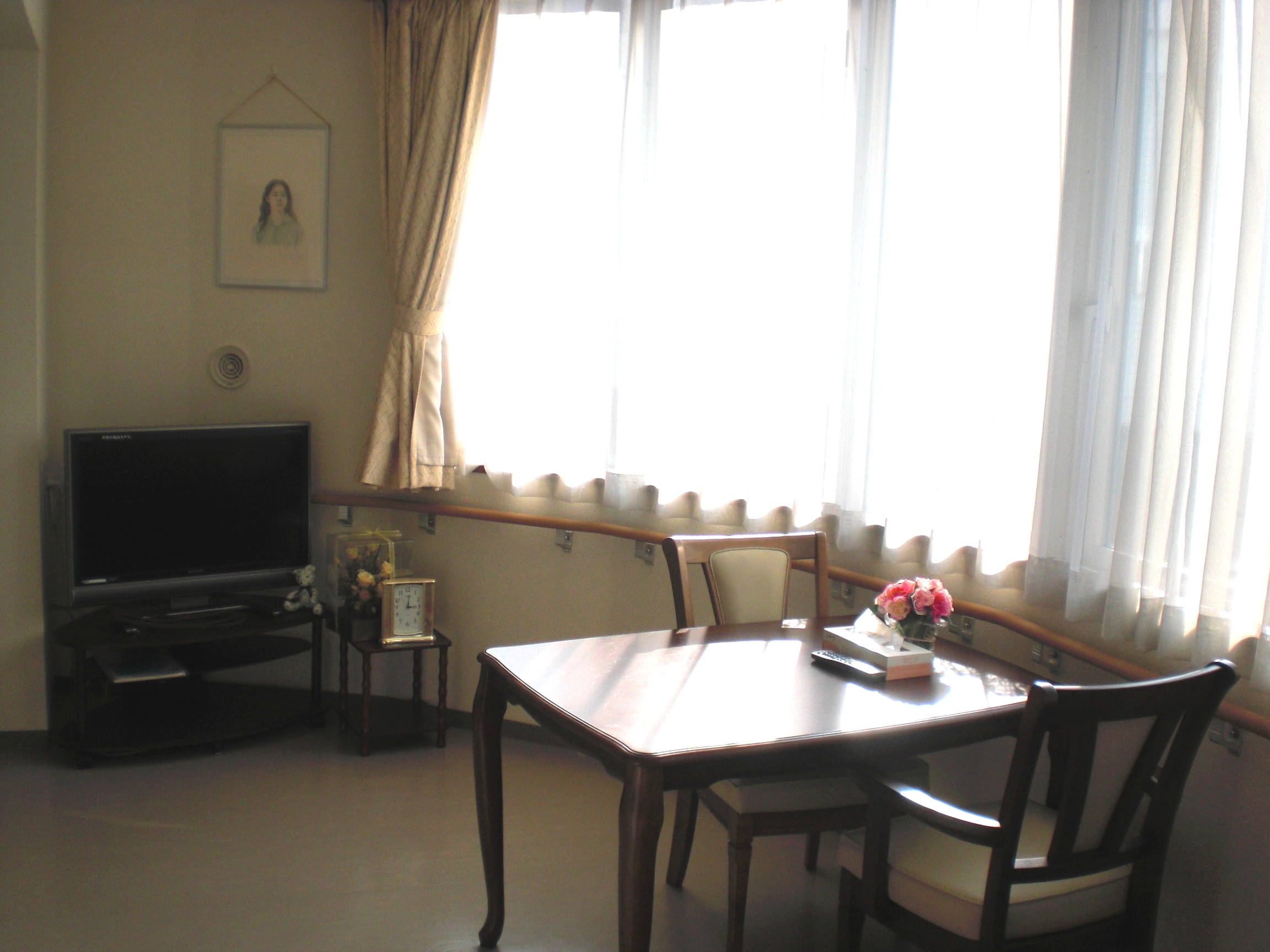 �h���N�}�T�[�㐙�@�V���o�[�n�E�X����